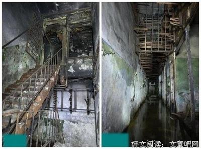欢迎来到实在界这个大荒漠读后感精选