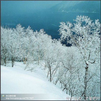 关于清心寡欲的格言