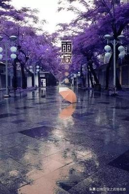 关于恻隐之心的唯美语录
