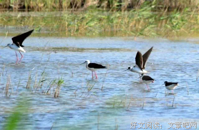 劳逸结合格言警句