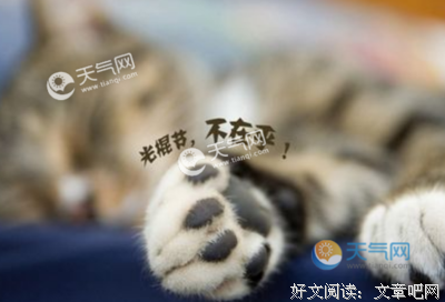 描写养尊处优的经典句子
