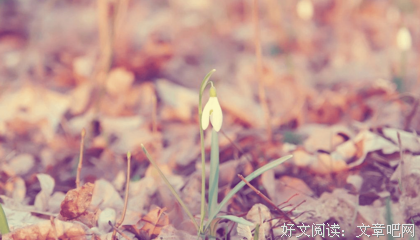 《作文》的句子