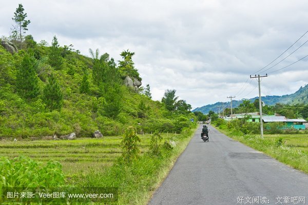乡村，公交车，人间