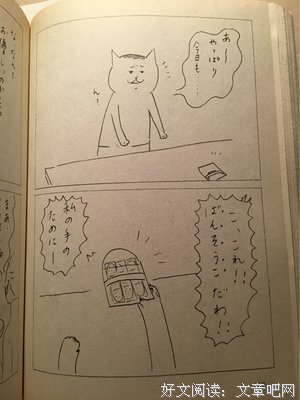 《今日的猫村小姐》影评100字