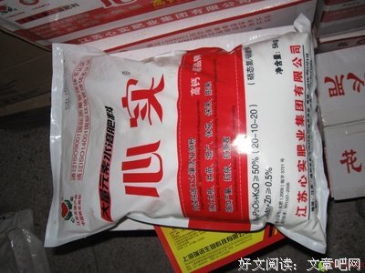 心实可旅程经典的句子