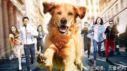 《忠犬大营救》经典影评1000字