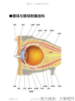 写在身体上读后感精选