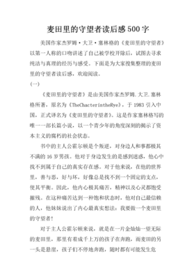 贸易的冲突读后感1000字