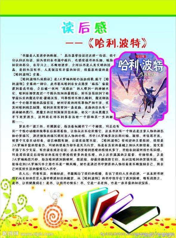 《大局观》读后感锦集