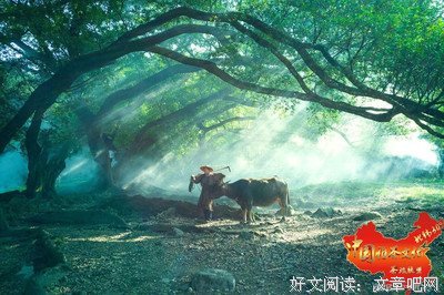 关于有始有终的座右铭