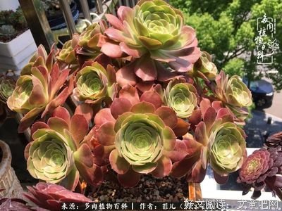 关于心有余悸的座右铭