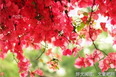 有关宝贝的句子