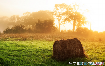 国学开的经典好词好句