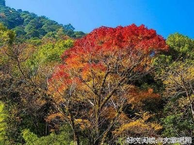 人最难走的路,是心路!