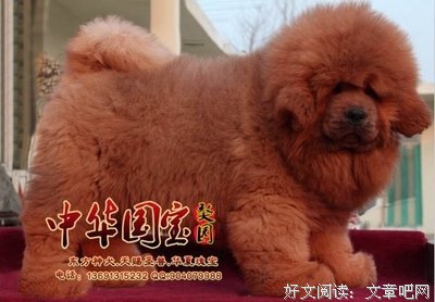 玉楼再心阙慵归去的句子