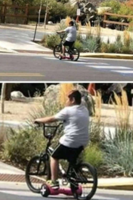 笑和想之忽已暮句子