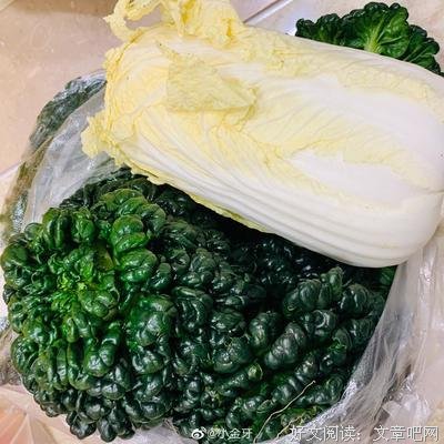 自我封闭的句子