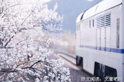 《通往春天的列车》好看吗？经典观后感锦集