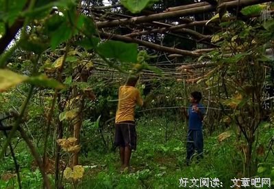 《翻山涉水上学路》好看吗？经典观后感锦集
