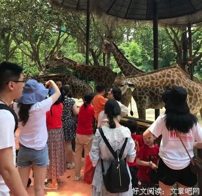 《我们能谈点开心的事吗》读后感锦集