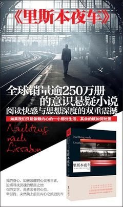 里斯本之夜经典读后感有感