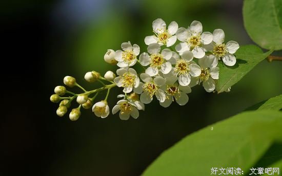 充满智慧的神回复，看完神清气爽