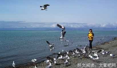 描写发展中国家的语句摘抄