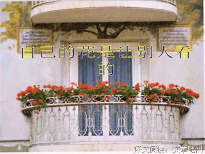 花团锦簇的句子