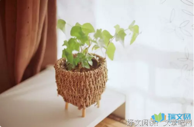 句集的优美句子