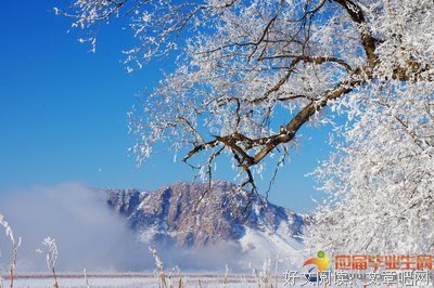 排球优美的句子