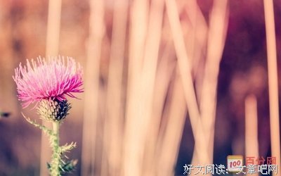 最经典的《你曾经爱我》经典的句子大全