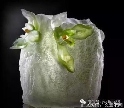 有关云开呢在禅心的句子