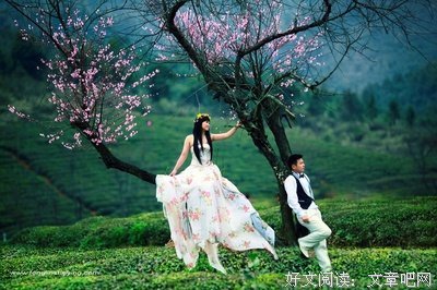 有关关于，另类。的句子