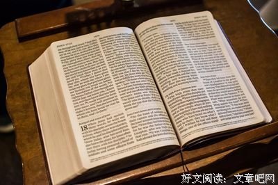 关于最爱的书的句子
