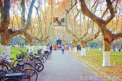 句集一（已完结）句子
