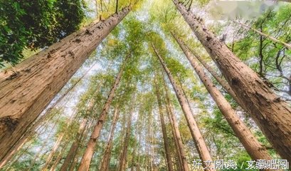 第二扇门经典名句