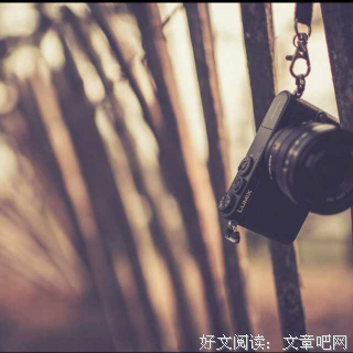 ㎜旧人不覆句子大全