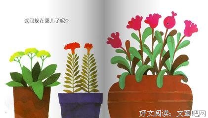 《会飞的小金鱼》经典读后感有感