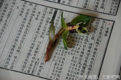 《至美宋词》读后感精选