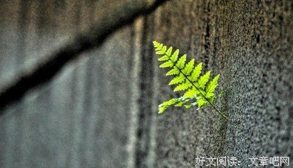自告奋勇的名句_关于自告奋勇的名句