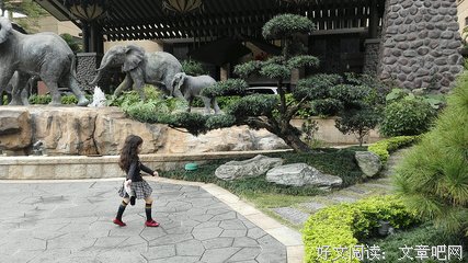 生命不息的名句_关于生命不息的名句