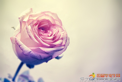 描写宁缺毋滥的语句摘抄