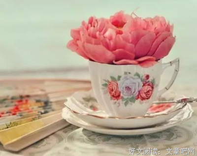 关于装＊的句子