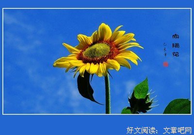 不忘初心的句子