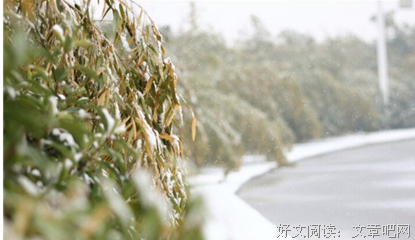 洒脱优美的句子