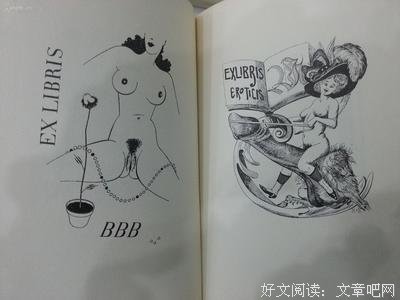 有关一个为利性的小这夫心得子的句子