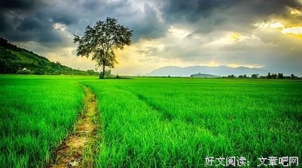控制得了情绪，才能控制人生