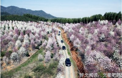 放，人最轻盈的姿态