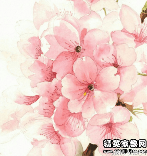 关于哲是于能然的优美句子