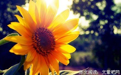 收集美句优美的句子